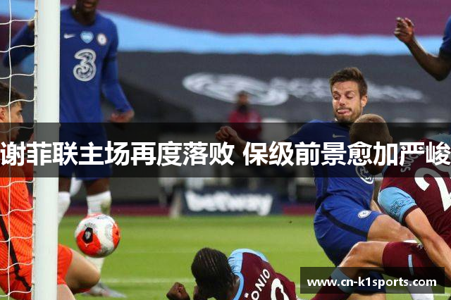 谢菲联主场再度落败 保级前景愈加严峻