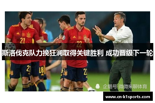 斯洛伐克队力挽狂澜取得关键胜利 成功晋级下一轮