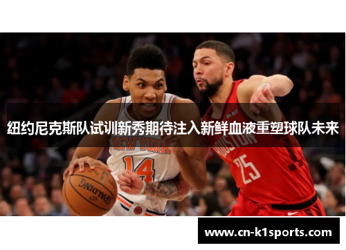 纽约尼克斯队试训新秀期待注入新鲜血液重塑球队未来