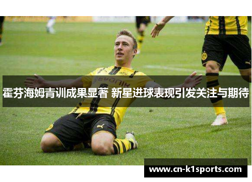 霍芬海姆青训成果显著 新星进球表现引发关注与期待