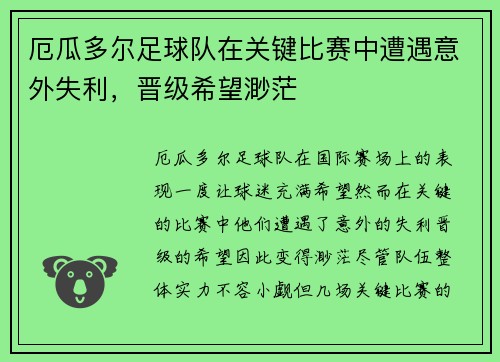 厄瓜多尔足球队在关键比赛中遭遇意外失利，晋级希望渺茫