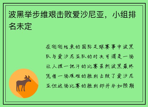 波黑举步维艰击败爱沙尼亚，小组排名未定