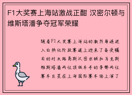 F1大奖赛上海站激战正酣 汉密尔顿与维斯塔潘争夺冠军荣耀