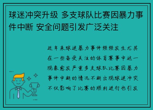 球迷冲突升级 多支球队比赛因暴力事件中断 安全问题引发广泛关注